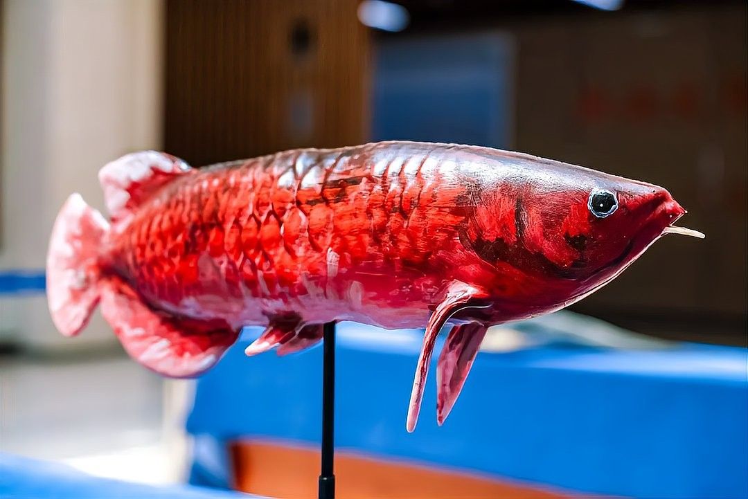 金龍魚仿生機器人在哪些場景有應用