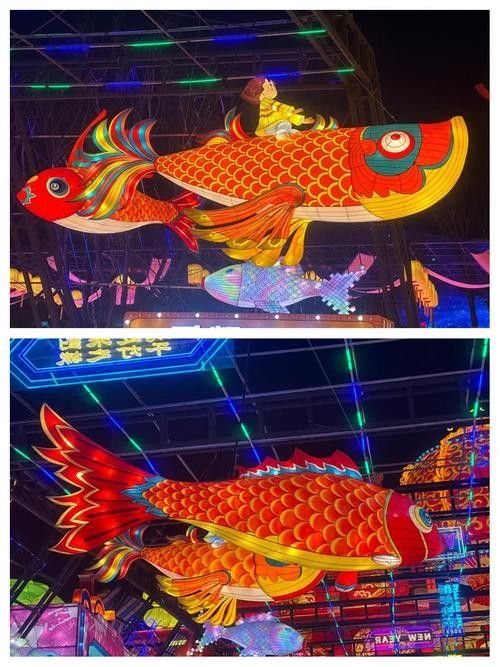 推薦幾款適合古典龍魚的LED燈 推薦幾款適合古典龍魚的LED燈 龍魚百科 第10張
