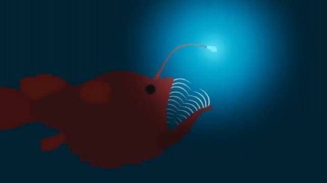 龍魚(yú)尾鰭充血最怕三個(gè)東西，如何判斷龍魚(yú)尾鰭充血是否嚴(yán)重