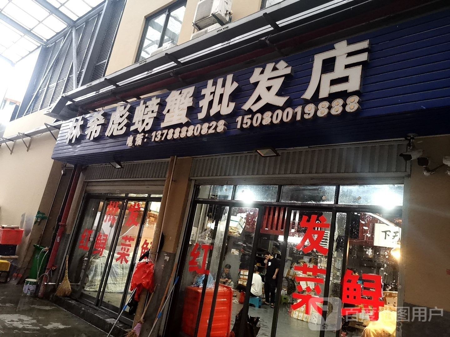福州馬尾名成海峽有哪些海鮮批發？ 福州馬尾名成海峽有哪些海鮮批發？ 龍魚百科 第1張