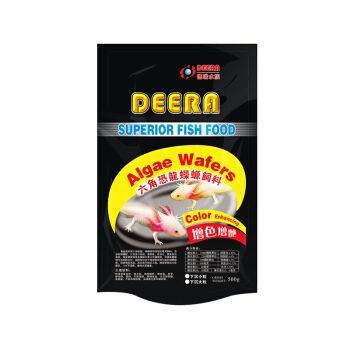 六角恐龍魚(yú)喂多少飼料合適：六角恐龍魚(yú)喂食頻率和數(shù)量應(yīng)根據(jù)其生長(zhǎng)階段調(diào)整喂養(yǎng)頻率與方法