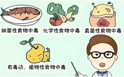 隔離期間如何確保食物安全 隔離期間如何確保食物安全 龍魚百科 第10張