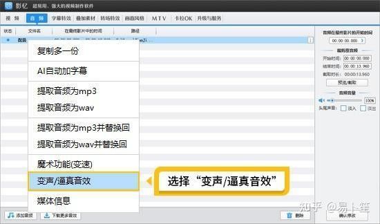 如何優(yōu)化金龍魚視頻的音質(zhì)？ 如何優(yōu)化金龍魚視頻的音質(zhì)？ 龍魚百科 第16張