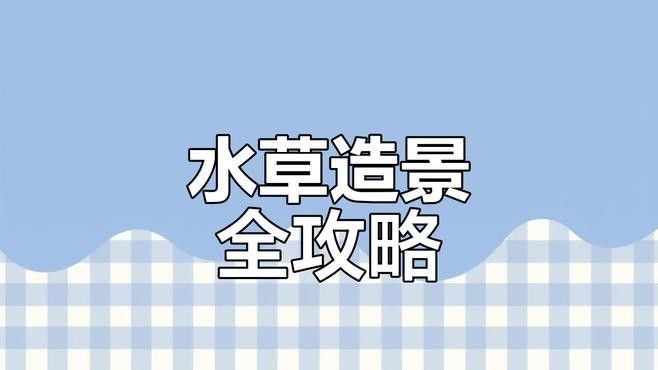 龍魚缸造景需要哪些水草