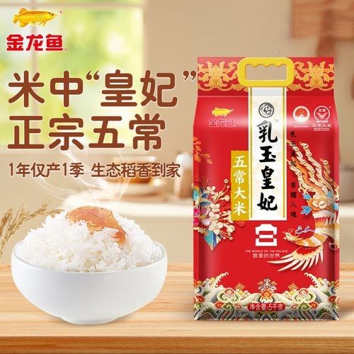 金龍魚有哪些主要產品系列（金龍魚主要產品系列）