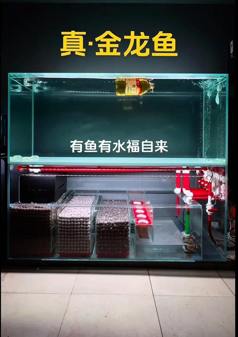 如何判斷濾材是否適合金龍魚 龍魚百科 第6張 如何判斷濾材是否適合金龍魚 如何判斷濾材是否適合金龍魚 龍魚百科 第6張