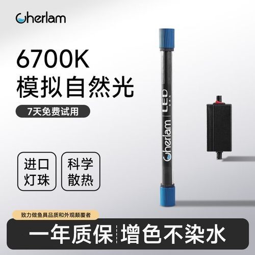哪些品牌的雷龍魚燈口碑最好（雷龍魚專用燈測評）