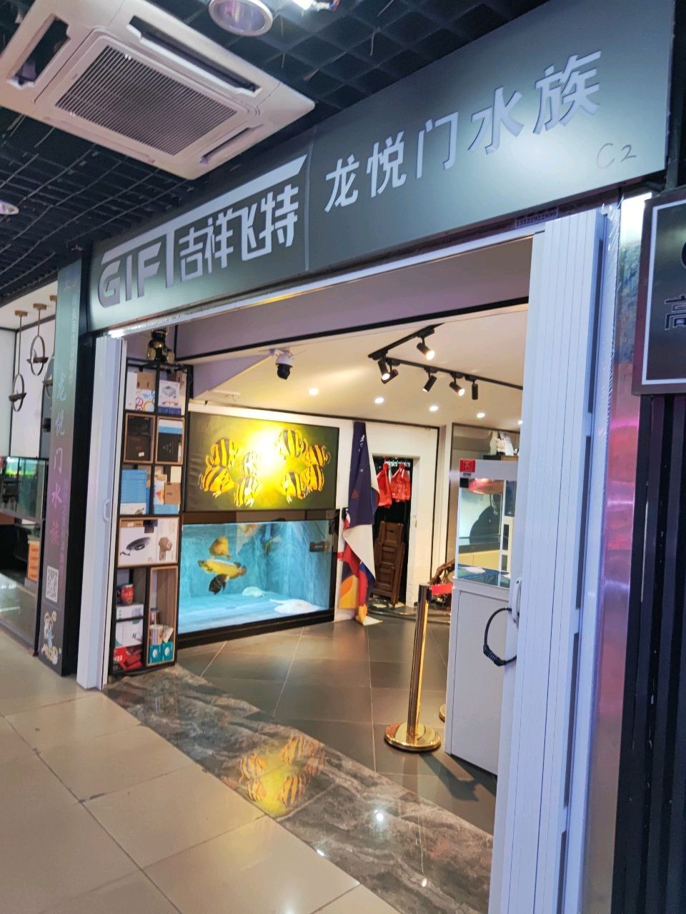 <strong><mark>二七</mark></strong>哪個水族館龍魚好？祥龍魚場龍魚