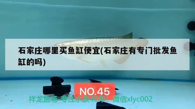 南寧魚缸清洗公司哪家好一點的（南寧魚缸制作和批發市場）
