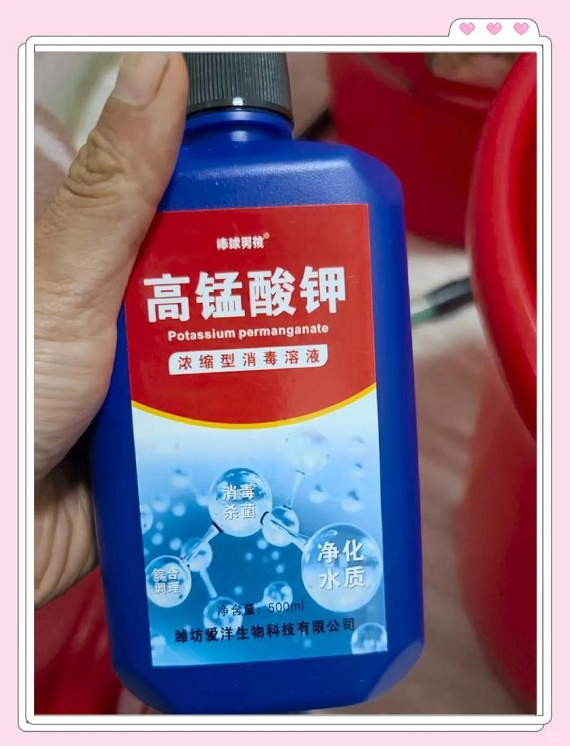 紅龍魚(yú)泡藥后多久會(huì)恢復(fù)？（龍魚(yú)泡藥后多久會(huì)恢復(fù)）
