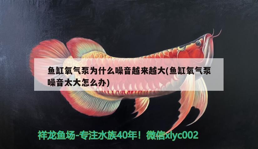 魚缸氧氣泵為什么噪音越來越大(魚缸氧氣泵噪音太大怎么辦)（魚缸氧氣泵噪音大怎么辦）