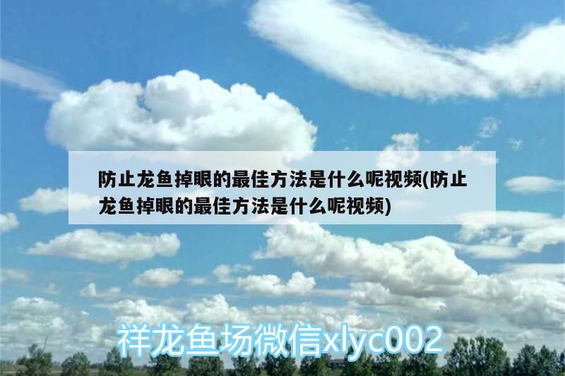 防止龍魚掉眼的最佳方法是什么呢視頻(防止龍魚掉眼的最佳方法是什么呢視頻)（如何防止龍魚掉眼）