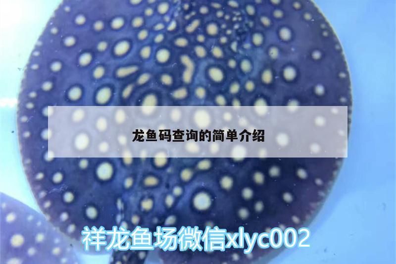 龍魚碼查詢的簡單介紹（龍魚碼查詢和對應的相關信息） 龍魚碼查詢的簡單介紹（龍魚碼查詢和對應的相關信息） 觀賞魚百科