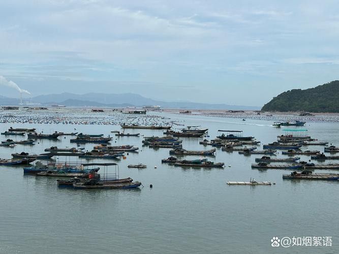 如何前往花地灣祥龍魚場