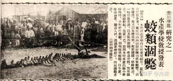 目擊者任殿元后來有何說法？（盛京時報：目擊者任殿元后來有何說法） 目擊者任殿元后來有何說法？（盛京時報：目擊者任殿元后來有何說法） 龍魚百科 第2張