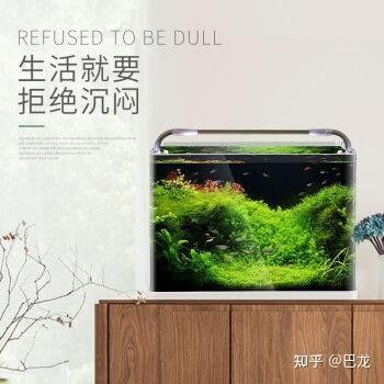 凱龍魚缸有哪些產品？（凱龍魚缸哪個系列性價比最高）