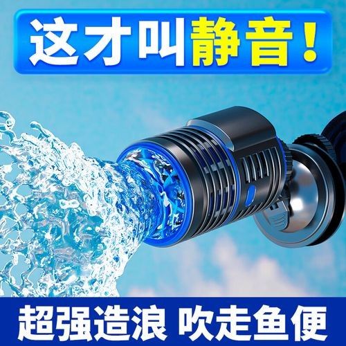 如何選擇適合龍魚缸的沖浪泵（選擇適合龍魚缸的沖浪泵）