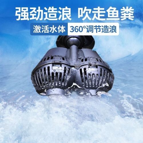 如何選擇適合龍魚缸的沖浪泵（選擇適合龍魚缸的沖浪泵）