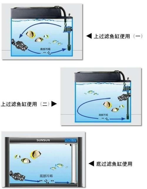 如何選擇適合龍魚缸的沖浪泵（選擇適合龍魚缸的沖浪泵）