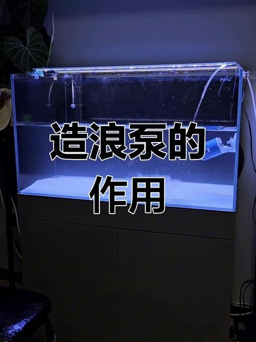 如何選擇適合龍魚缸的沖浪泵（選擇適合龍魚缸的沖浪泵）