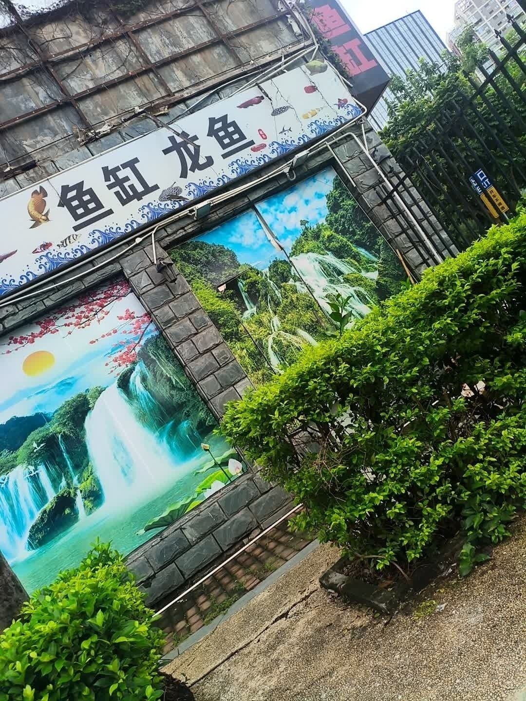 深圳龍魚(yú)市場(chǎng)的地址（深圳龍魚(yú)市場(chǎng)及店鋪地址信息：深圳龍魚(yú)市場(chǎng)及店鋪地址）