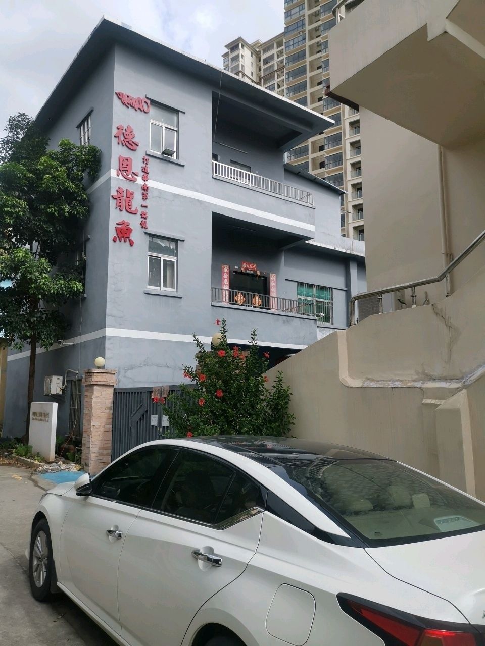 深圳龍魚(yú)市場(chǎng)的地址（深圳龍魚(yú)市場(chǎng)及店鋪地址信息：深圳龍魚(yú)市場(chǎng)及店鋪地址）