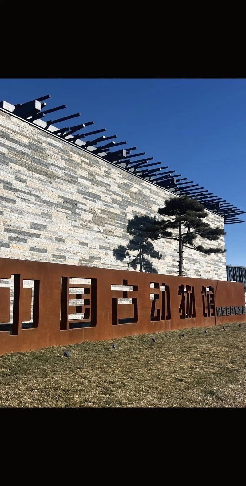 這些企業中哪家聲譽最好，中國企業聲譽競爭中國企業聲譽競爭中國企業聲譽競爭中