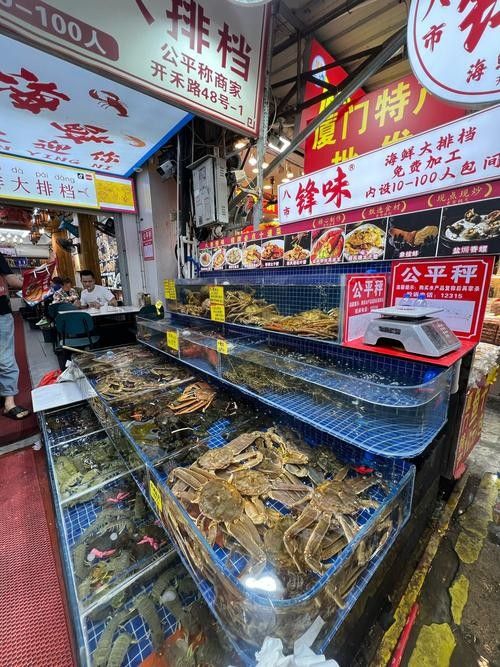 如何聯系祥龍魚場參展人員（廣州龍魚場|聊城龍魚場參展人員-祥龍魚場獲取方法）