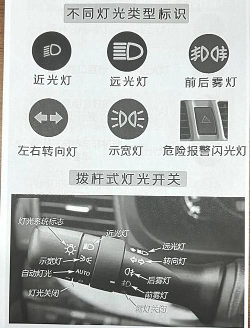 龍魚燈光如何設置最佳效果（龍缸燈光擺放技巧）