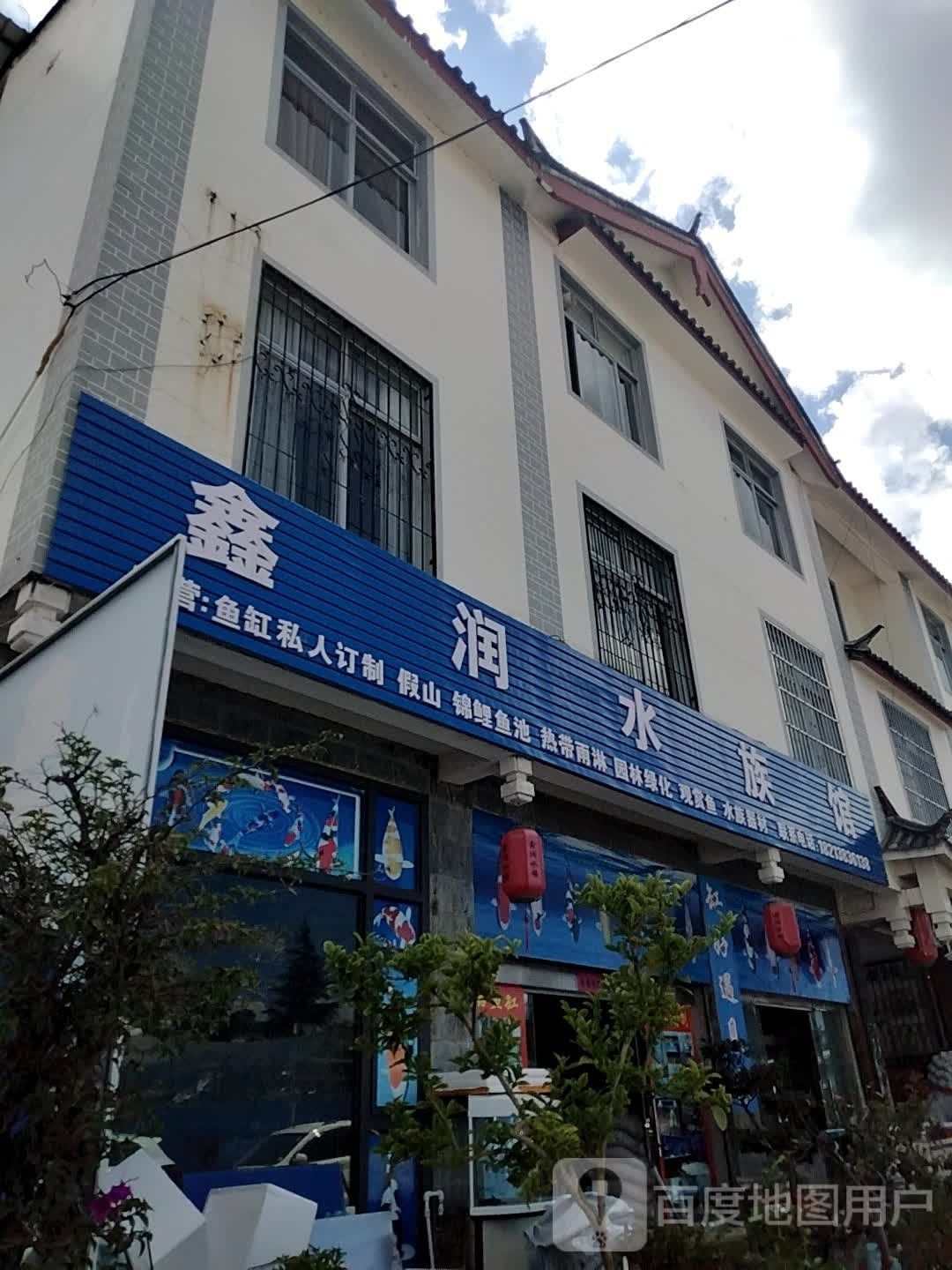 麗江哪個水族館龍魚好？祥龍魚場龍魚（麗江水族館、祥龍魚場龍魚價格如何？）