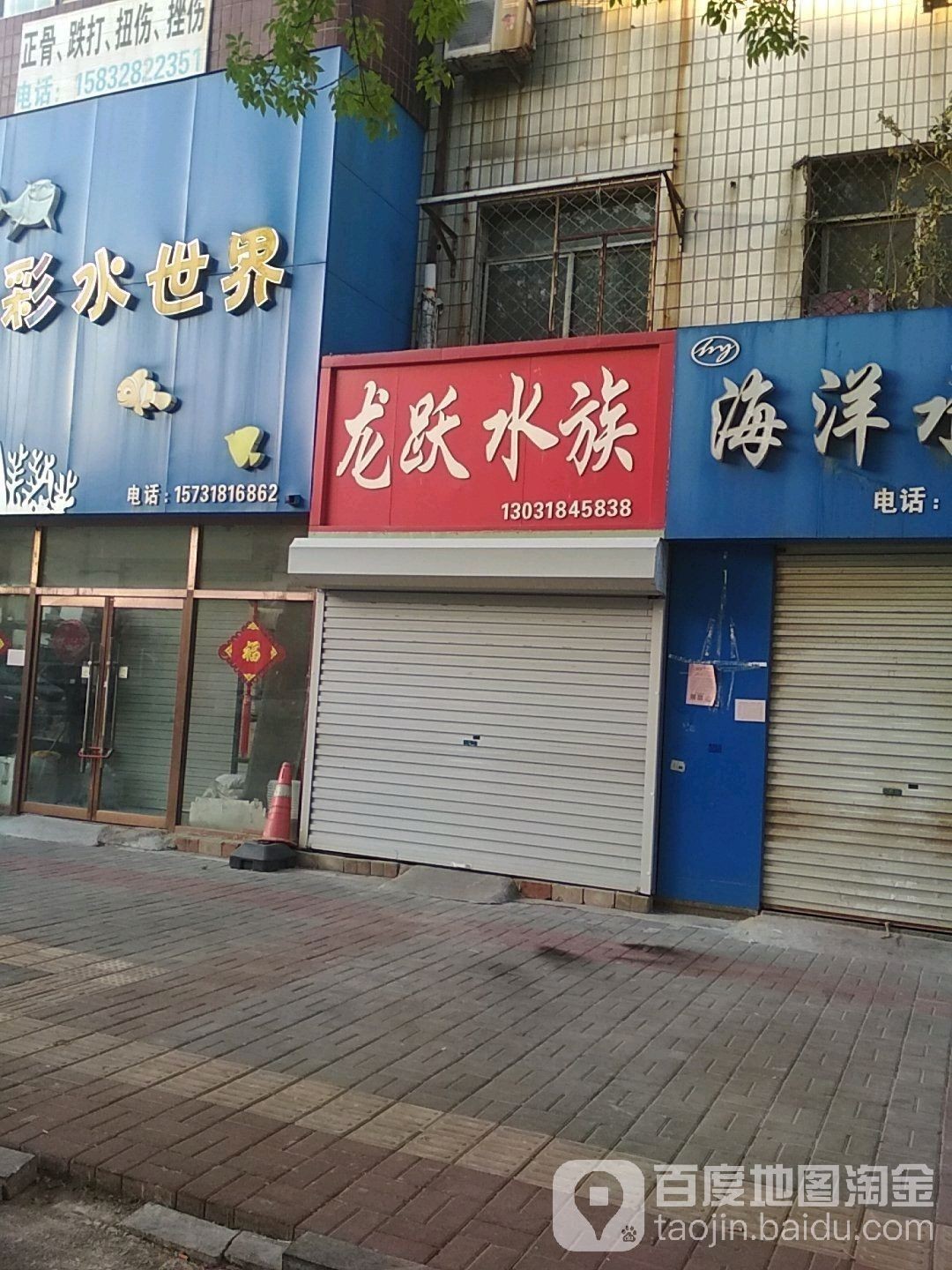 衡水龍魚水族館的地址在哪里（河北衡水市桃城區龍魚水族館在哪個位置四閱札記打卡）