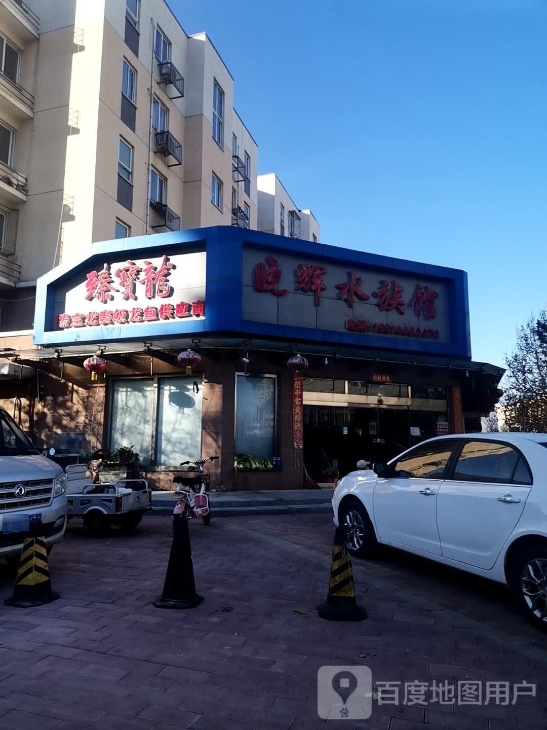 給我推薦幾個信譽良好的龍魚批發商（北京集鼎龍水族商貿有限公司信譽良好的龍魚批發商推薦） 給我推薦幾個信譽良好的龍魚批發商（北京集鼎龍水族商貿有限公司信譽良好的龍魚批發商推薦） 龍魚百科 第1張