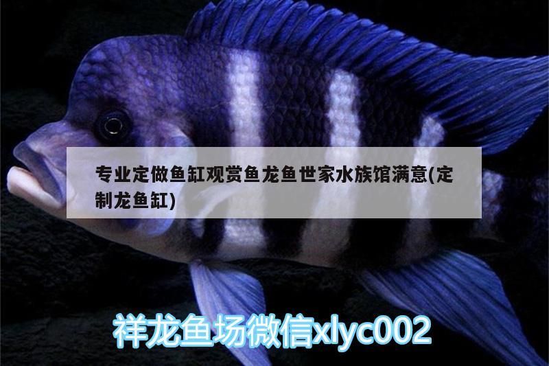 專業定做魚缸觀賞魚龍魚世家水族館滿意(定制龍魚缸)（專業定做魚缸觀賞魚龍魚世家水族館滿意）