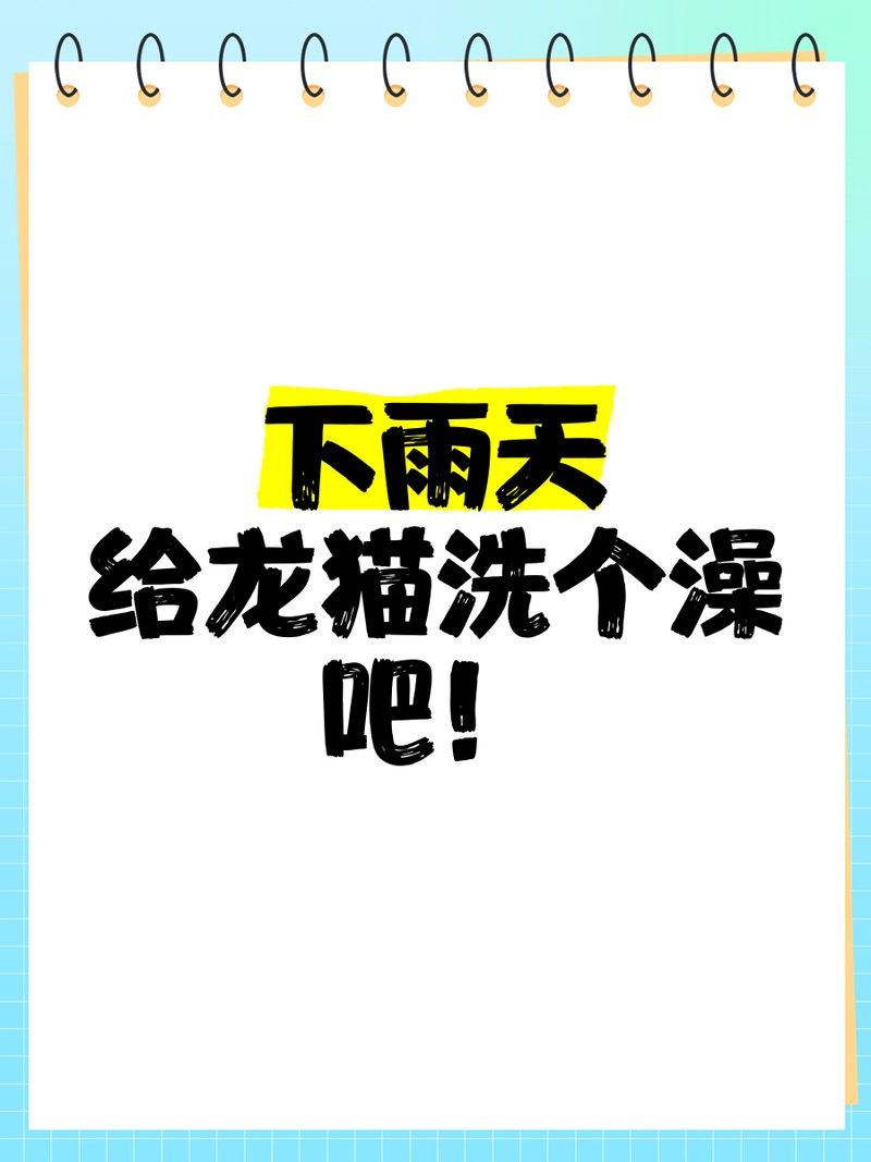 龍貓沙浴時需要注意什么（貓沙浴是一種讓它們在沙子中放松和清潔的常見做法） 龍貓沙浴時需要注意什么（貓沙浴是一種讓它們在沙子中放松和清潔的常見做法） 龍魚百科 第6張