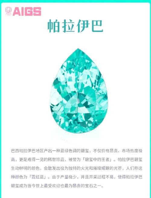 這些稀有品種的價格是多少？（天價珍稀動物大盤點：8種“土豪專屬”珍稀龜種龜種）