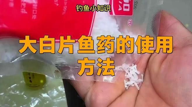備能大白片的使用方法（備能大白片使用方法） 備能大白片的使用方法（備能大白片使用方法） 龍魚百科 第1張