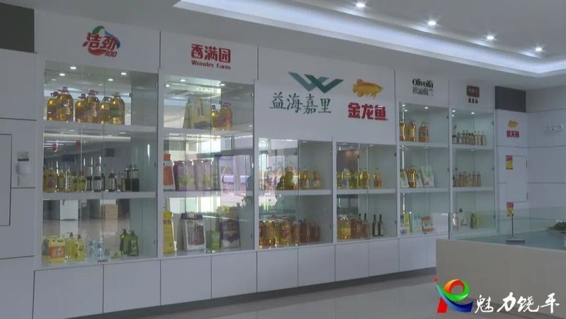 金龍魚(yú)的企業(yè)文化是什么（金龍魚(yú)企業(yè)文化是其核心價(jià)值觀和經(jīng)營(yíng)理念的體現(xiàn)）