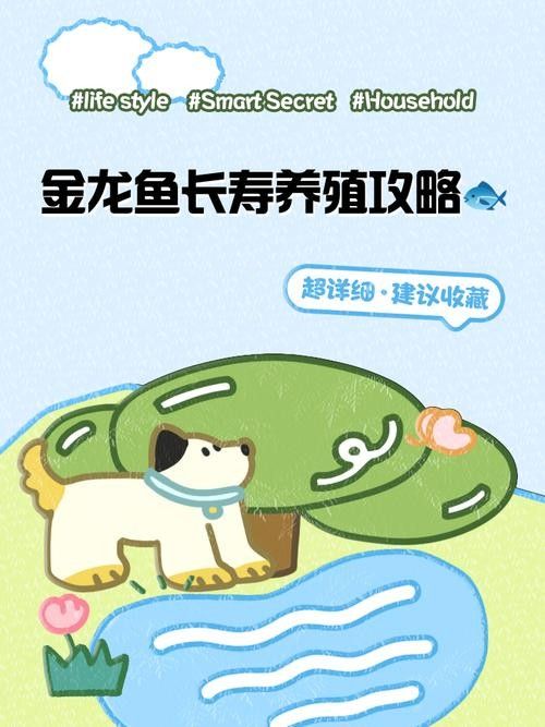 金龍魚多久能適應互動訓練？（如何讓膽小龍魚變成缸中王者馴服技巧全揭秘） 金龍魚多久能適應互動訓練？（如何讓膽小龍魚變成缸中王者馴服技巧全揭秘） 龍魚百科 第1張
