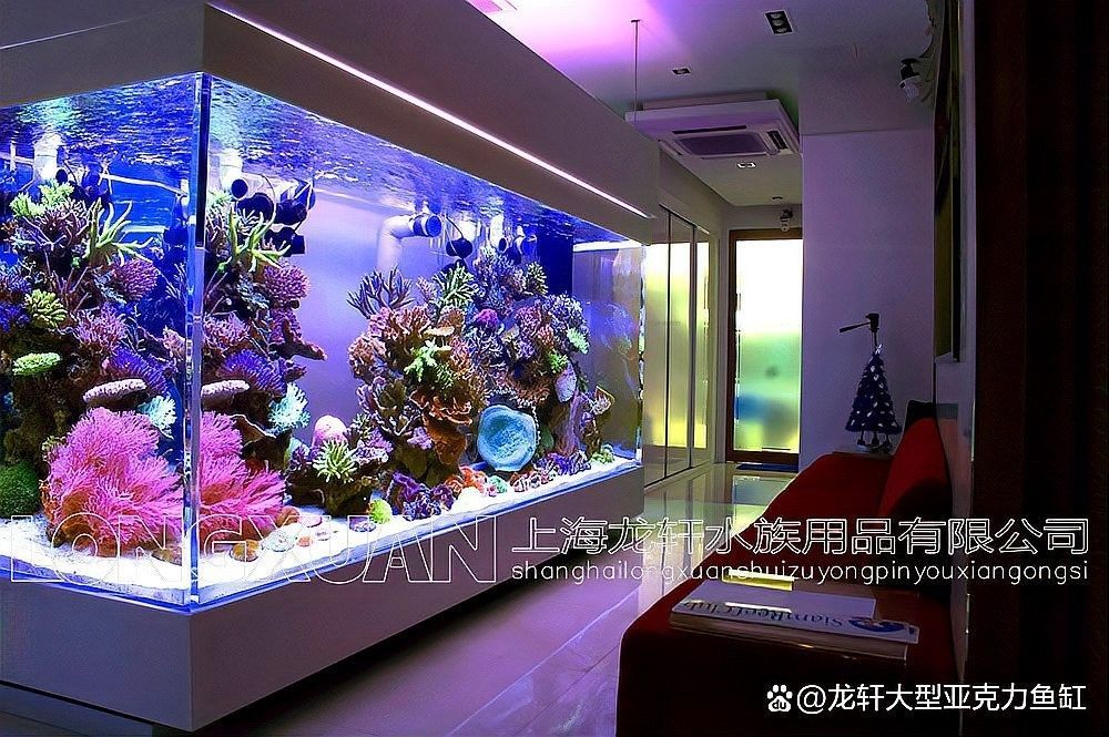 如何給龍魚補充維生素B族？（如何給龍魚補充維生素b族）