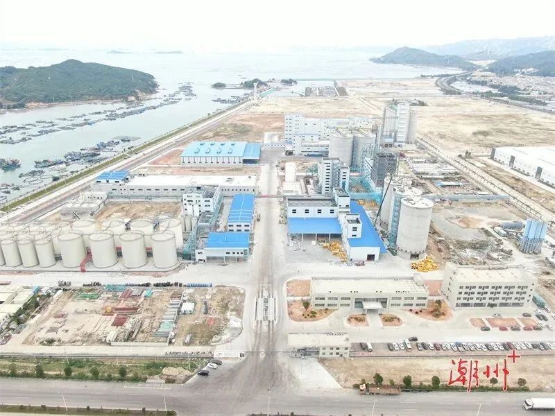 潮州金龍魚招聘條件是什么（潮州州金龍魚招聘條件）
