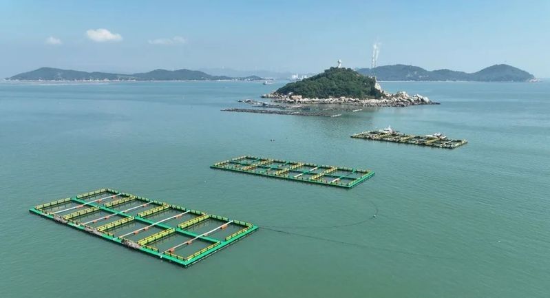 潮州金龍魚招聘條件是什么（潮州州金龍魚招聘條件）
