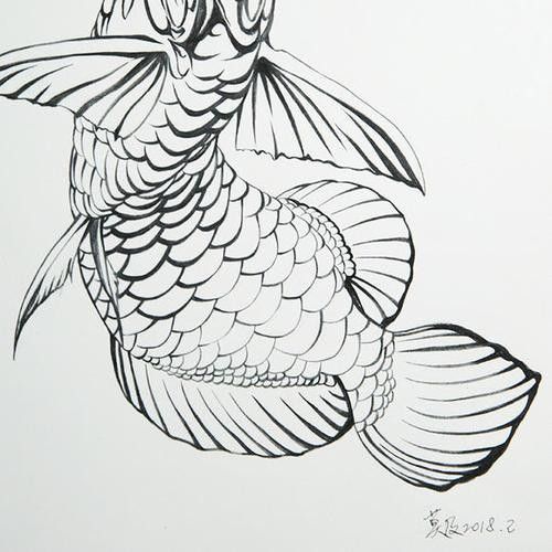 給我一些龍魚卡通的簡筆畫教程（魚卡通簡筆畫教程）