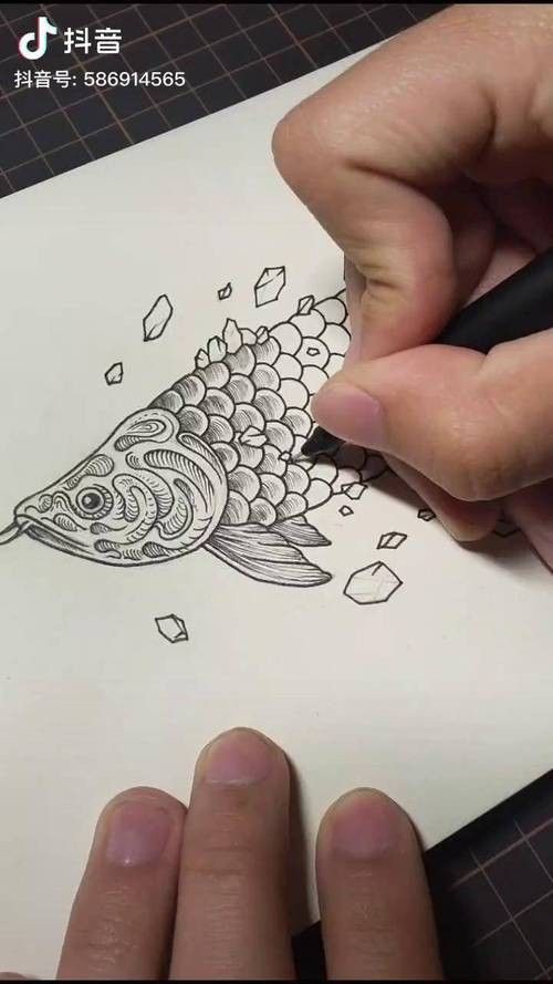 給我一些龍魚卡通的簡筆畫教程（魚卡通簡筆畫教程）