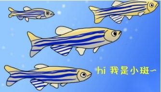 虎斑恐龍魚繁殖成功率有多高（如何提高虎斑恐龍魚的繁殖成功率？） 虎斑恐龍魚繁殖成功率有多高（如何提高虎斑恐龍魚的繁殖成功率？） 龍魚百科 第2張