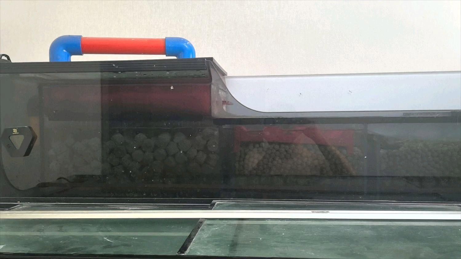 清洗龍魚缸過濾器有哪些步驟（清洗龍魚缸過濾器的步驟）