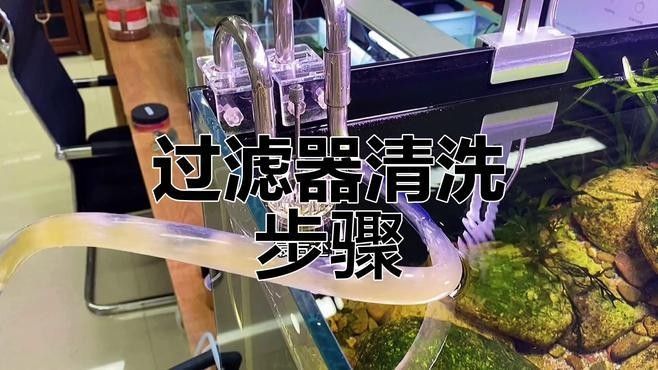 清洗龍魚缸過濾器有哪些步驟（清洗龍魚缸過濾器的步驟）