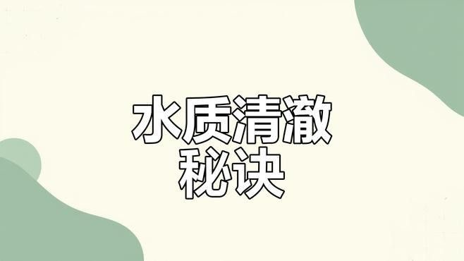 清洗龍魚缸過濾器有哪些步驟（清洗龍魚缸過濾器的步驟）