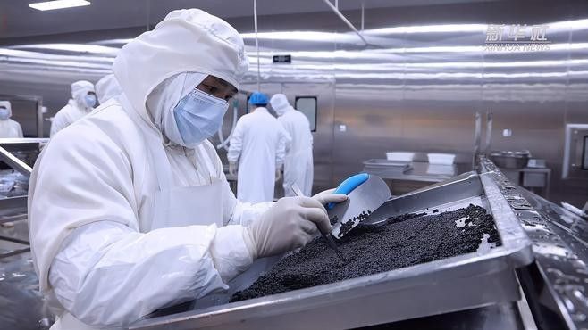 貴州鱘魚的市場價格是多少？（貴州鱘魚市場價格及其影響因素探討貴州鱘魚市場價格）