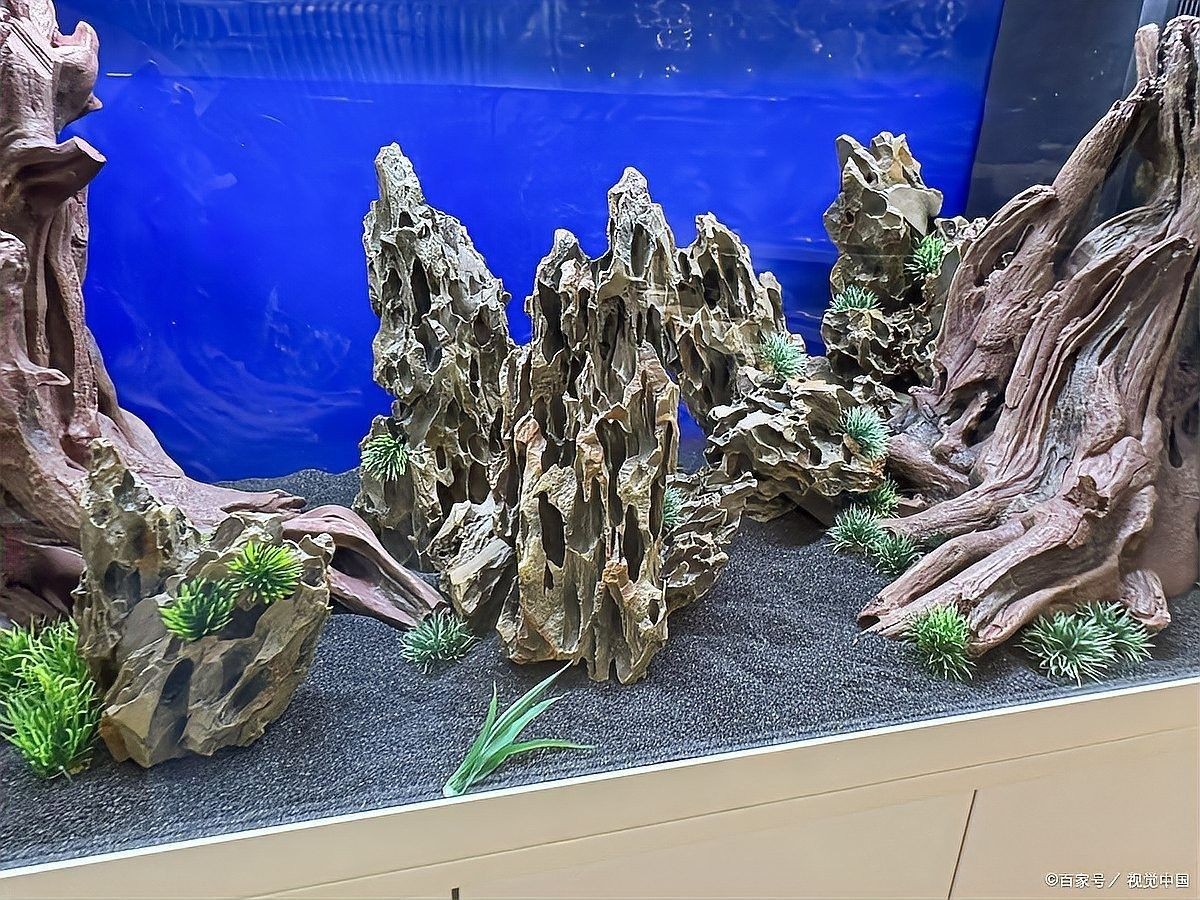 紅龍魚背部發黑會影響健康嗎（紅龍魚背部發黑是怎么回事）