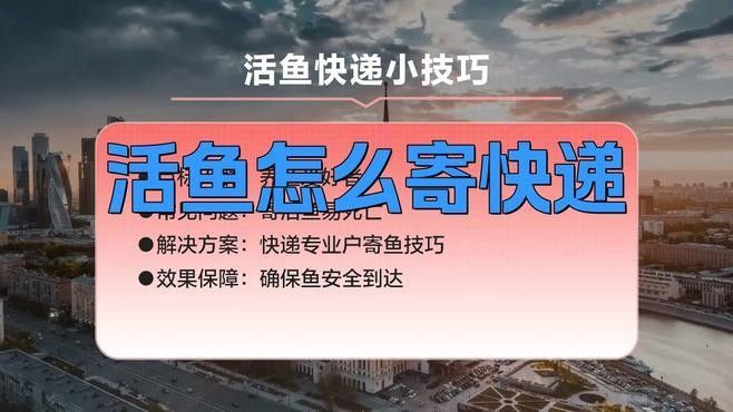 龍魚麻醉運輸需要哪些設備（龍魚麻醉運輸時可能需要的設備和技術支持和技術支持）